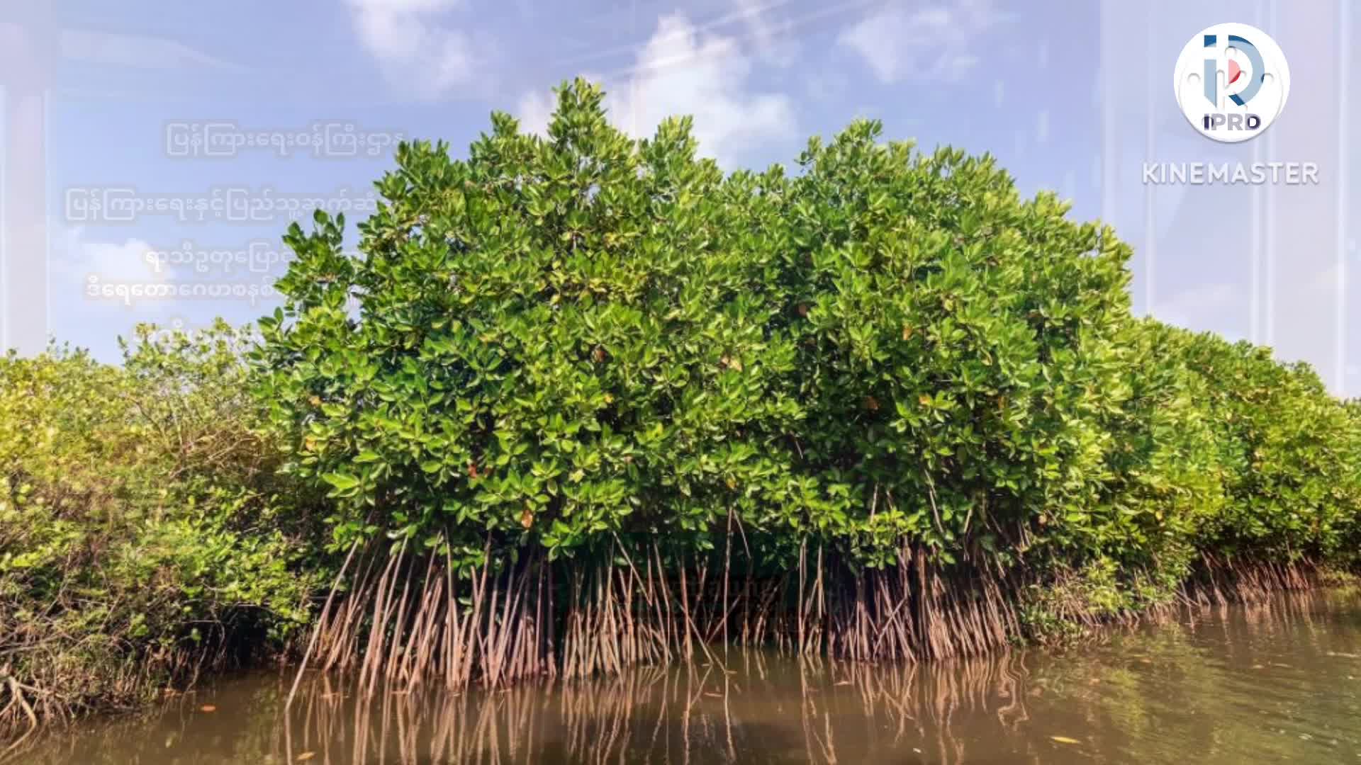 ရာသီဥတုပြောင်းလဲလာမှုနှင့်ဒီရေတောဂေဟစနစ်ပျက်စီးခြင်းအကြောင်းသိ...