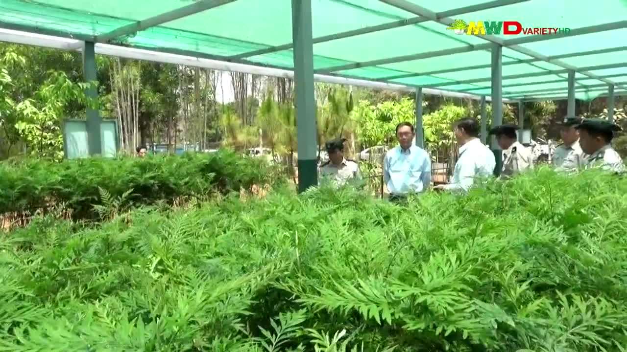 ၇-၄-၂၀၂၄မြဝတီရုပ်မြင်သံကြားပြည်တွင်းသတင်း ည(၈း၀၀) နာရီ
