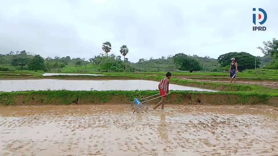 ဟိုင်းကြီးကျွန်းမြို့တွင်မျိုးစေ့ချကိရိယာ(Drum Seeder)ဖြင့်စိုက်ပျိုး က...