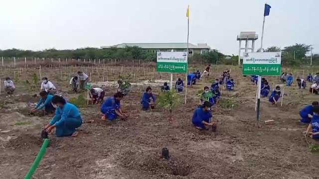 စစ်ကိုင်းတက္ကသိုလ်၌မိုးရာသီအကြိုသစ်ပင်စိုက်ပျိုးပွဲကျင်းပ