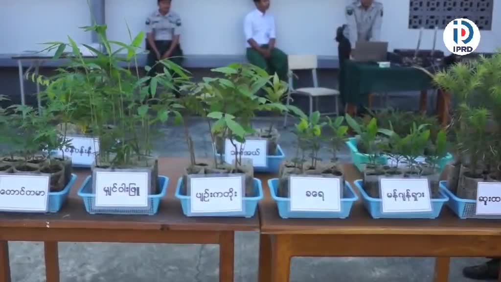 ပူတာအိုမြို့၌ ၂၀၂၃ ခုနှစ်အကြို မိုးရာသီသစ်ပင်စိုက်ပျိုးပွဲတော်ကျ...