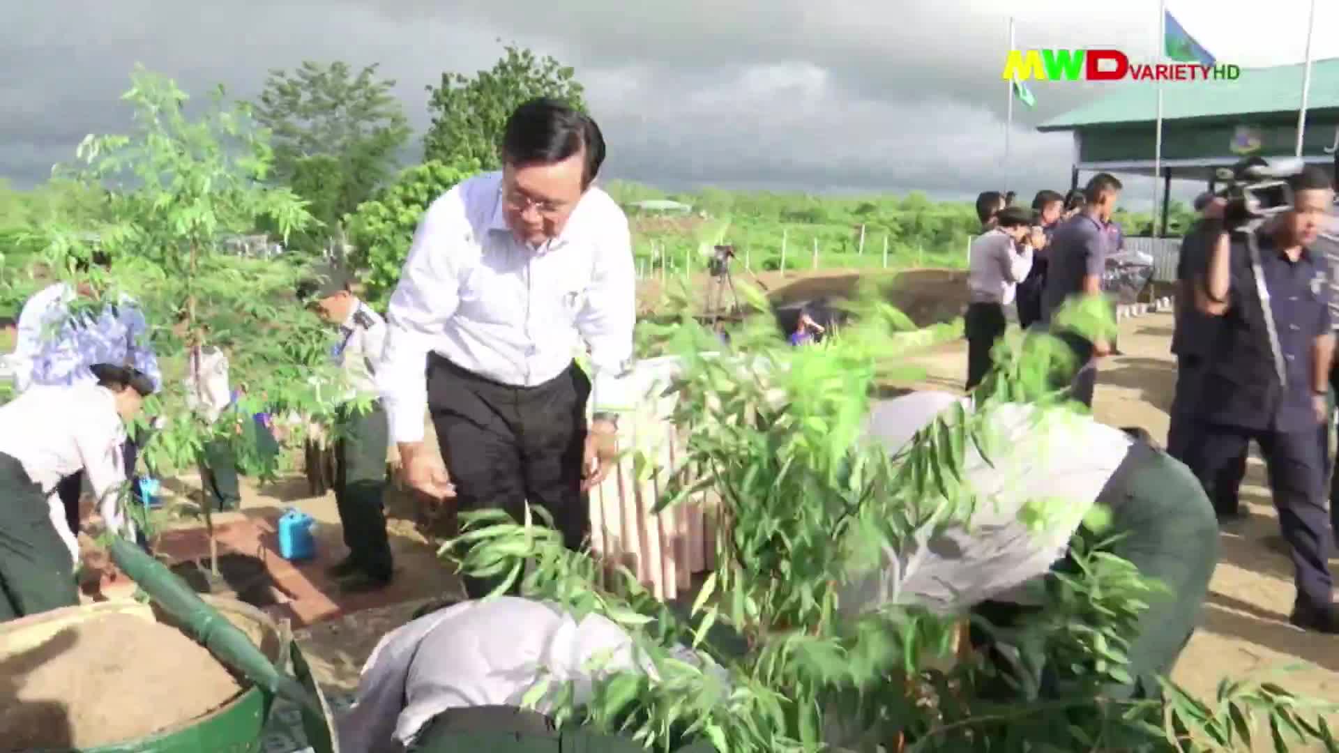 ၇-၇-၂၀၂၃ မြဝတီရုပ်မြင်သံကြားပြည်တွင်းသတင်း (ည ၈:၀၀ နာရီ)