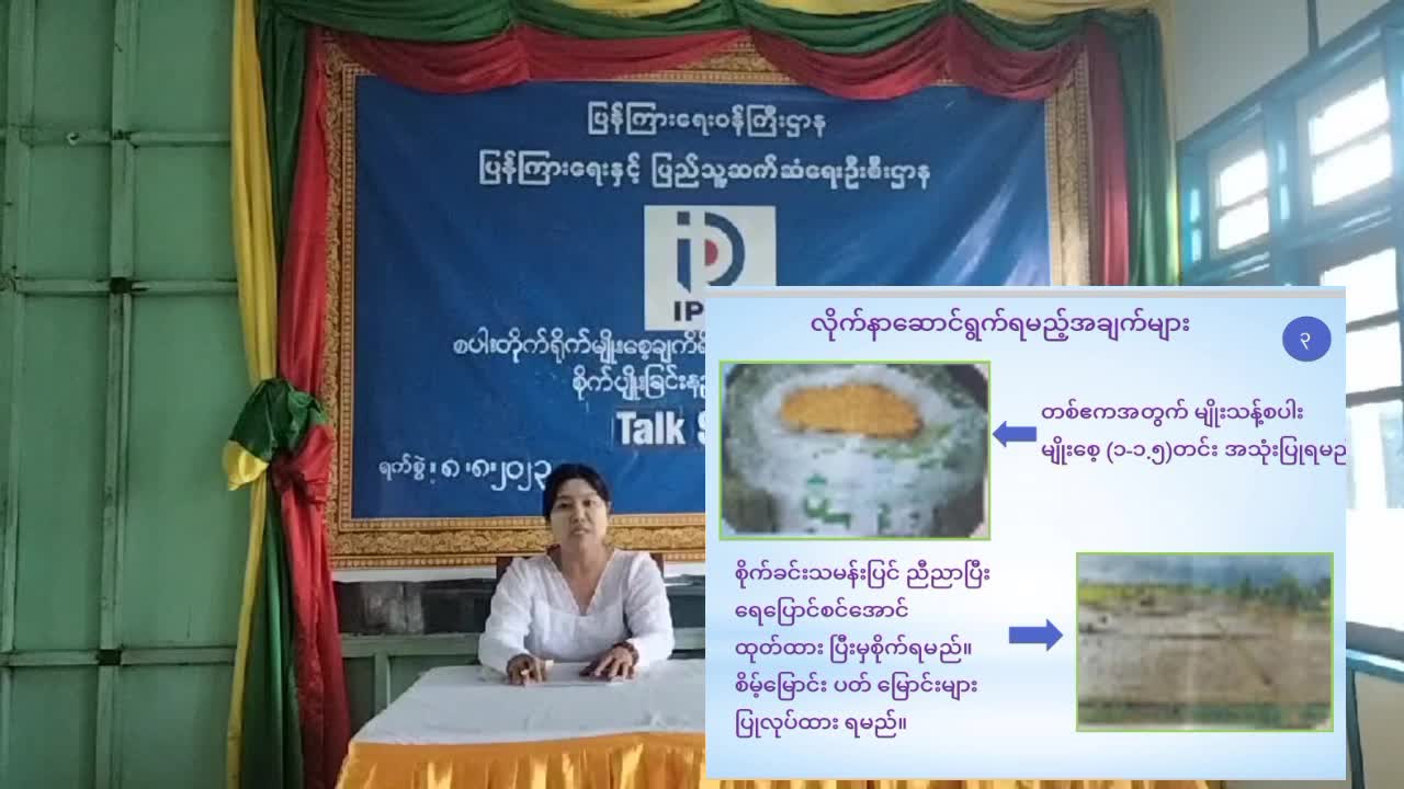 စပါးတိုက်ရိုက်မျိုးစေ့ချကိရိယာ(drum seeder)ဖြင့်စိုက်ပျိုးခြင်းနည်းပညာပ...