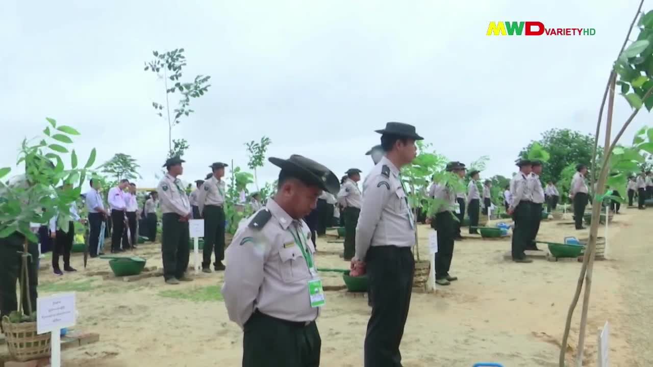 ၁၅-၆-၂၀၂၅ ရက်နေ့မြဝတီရုပ်မြင်သံကြားပြည်တွင်းသတင်း ည(၈း၀၀)နာရီ။