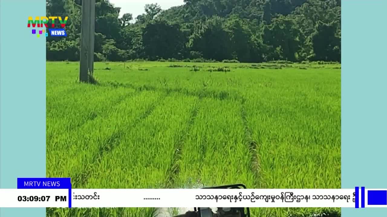 video_231112154626_v215a