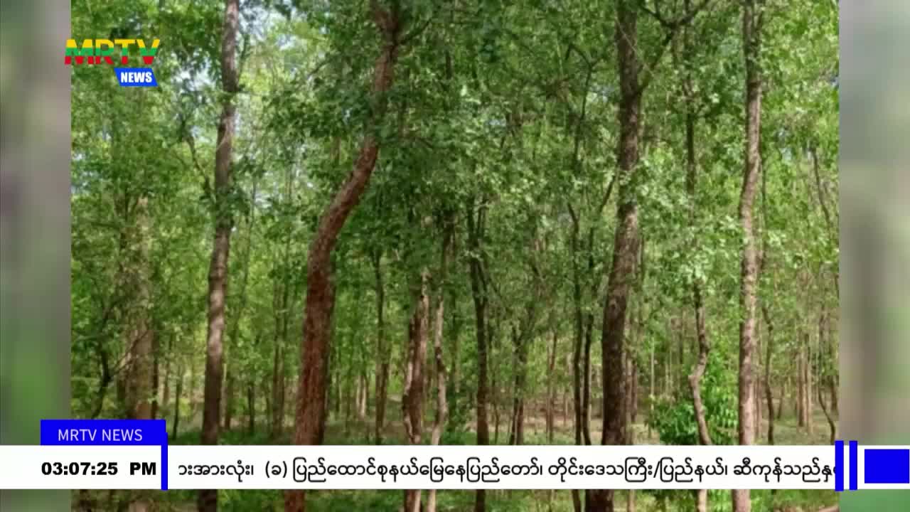video128160251_v38c6