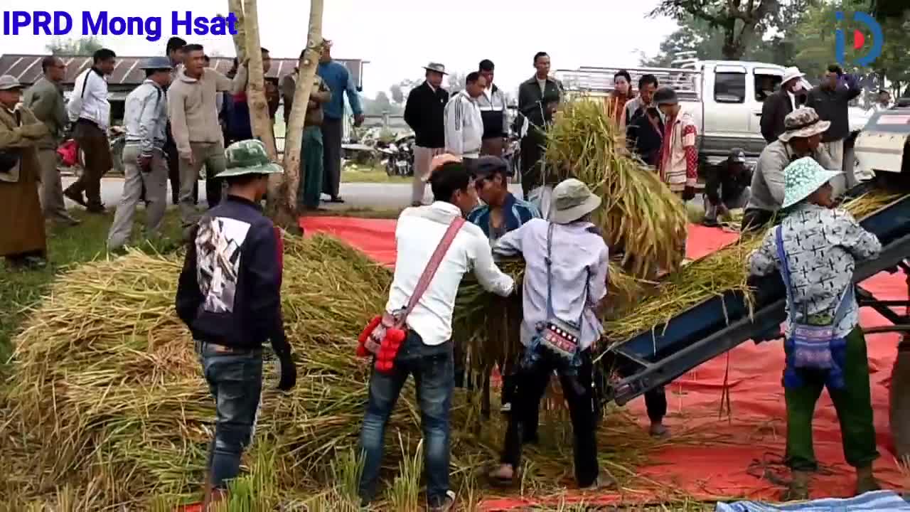 video_231130215226_v2913