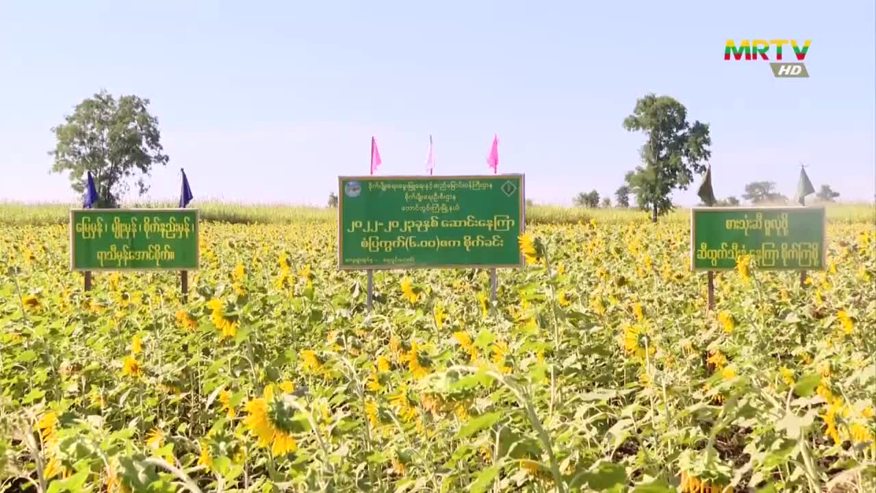 video_221118212442_v4002
