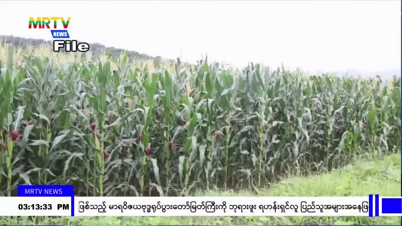 video_230724212146_v0eb9