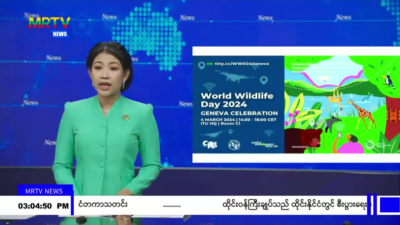 video_230828154131_v4ff5