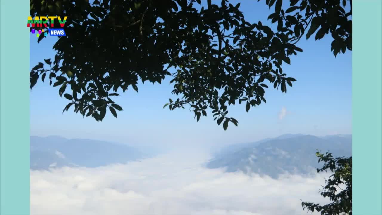 video_231102095051_vb3d3