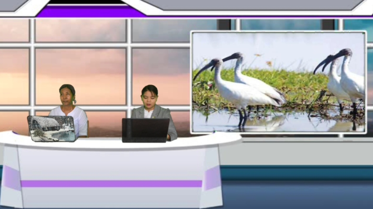 ကျောက်ဆည်မြို့၌ ဆောင်းခိုငှက်များအကြောင်း အသိပညာပေးဆွေးနွေးပွဲ