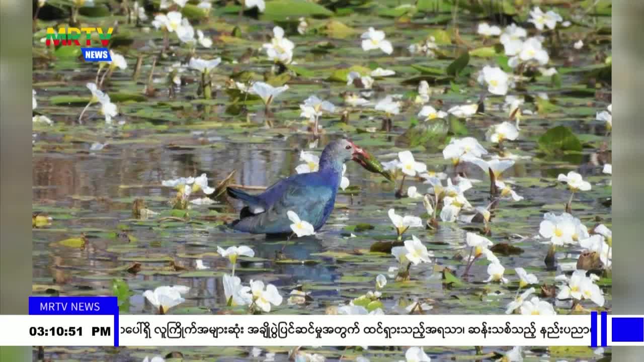 video124154526_vb290