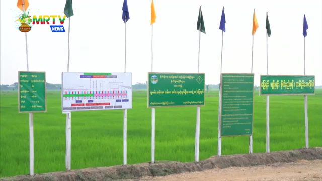 video420194553_vaff9