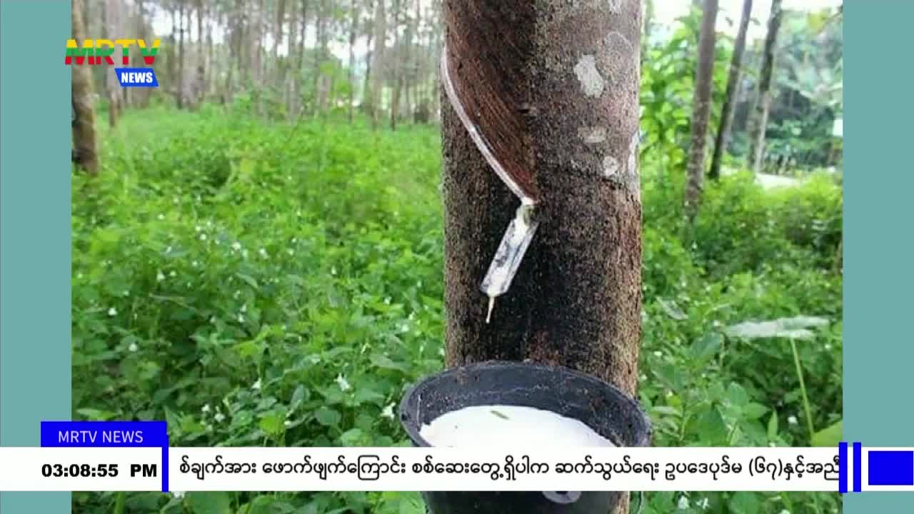 video210153812_v112d