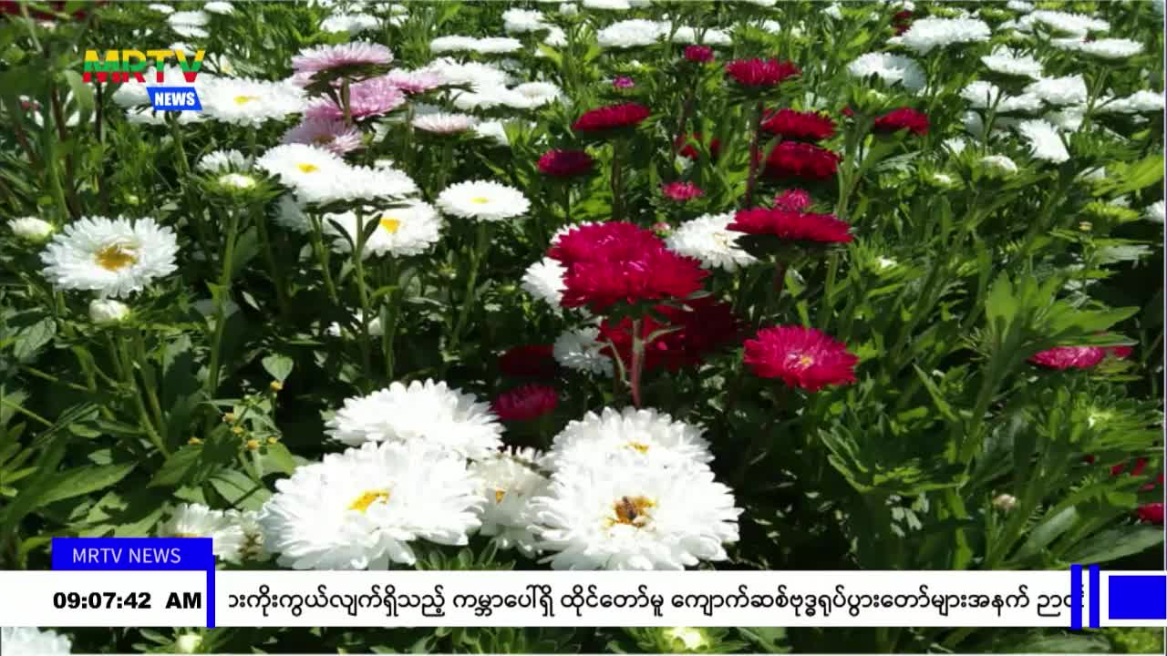 video_230811094846_vabeb