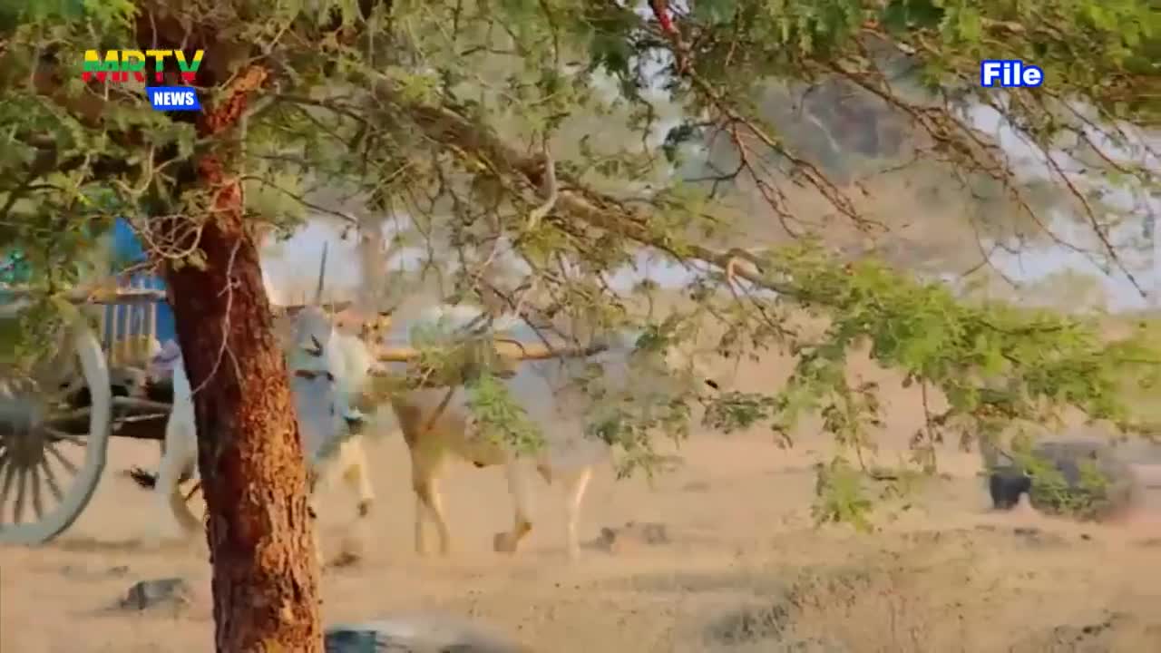 video402154500_v1e63