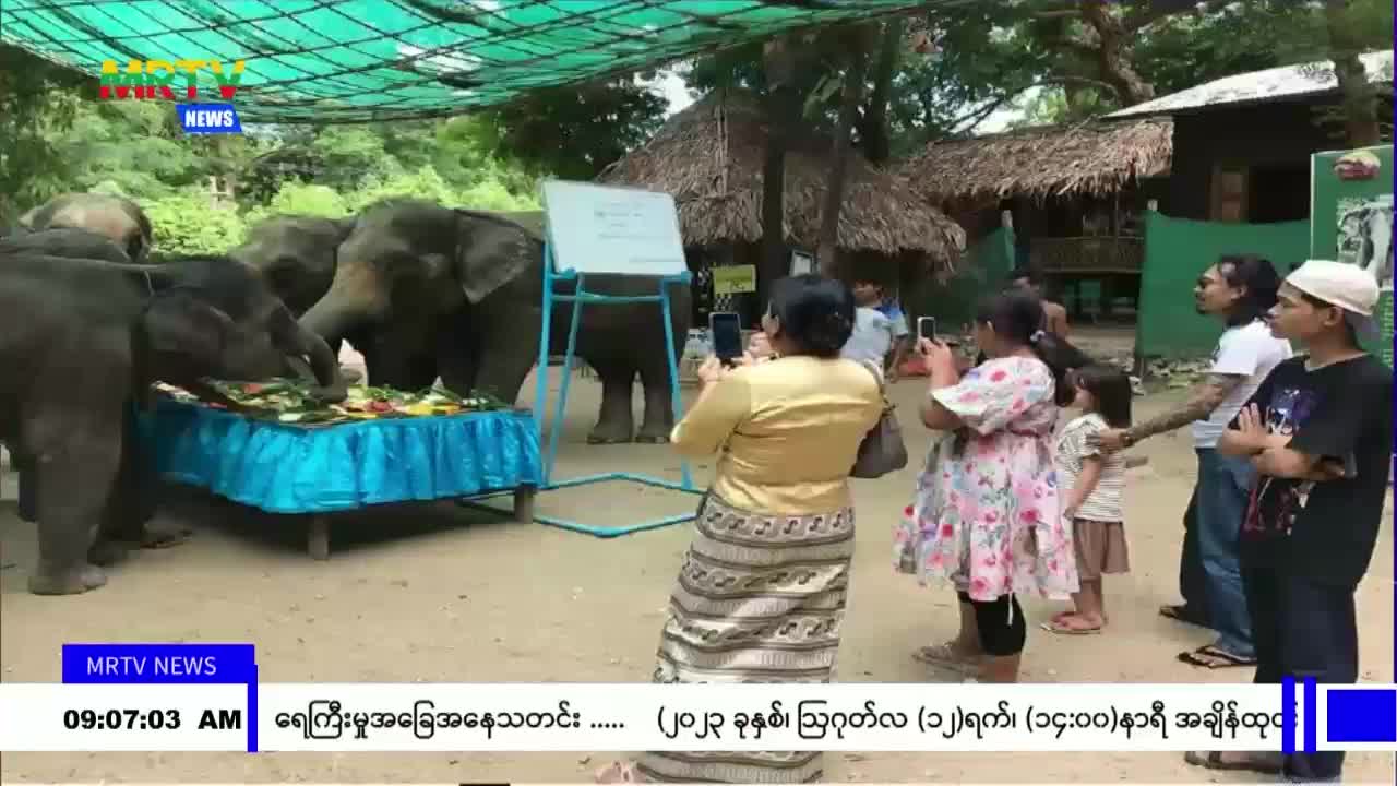 video_230814100824_v7fc2