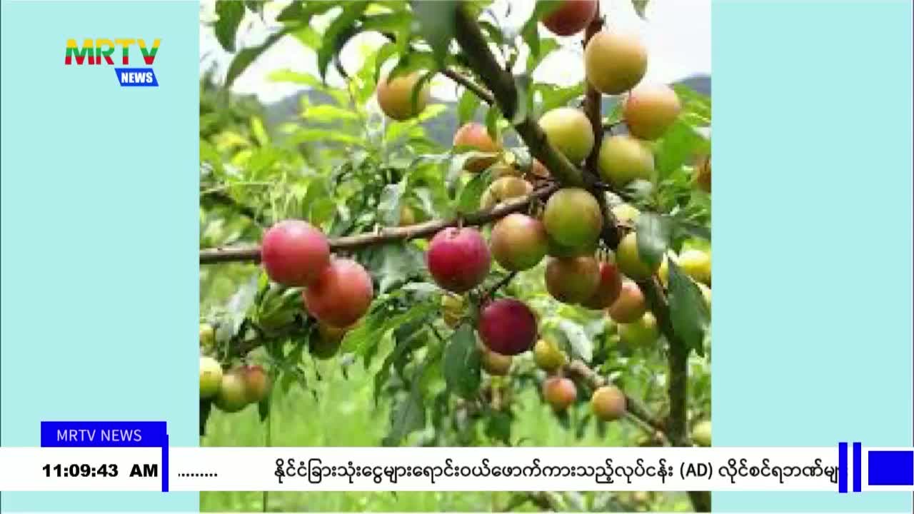 video_230822115127_vb17e