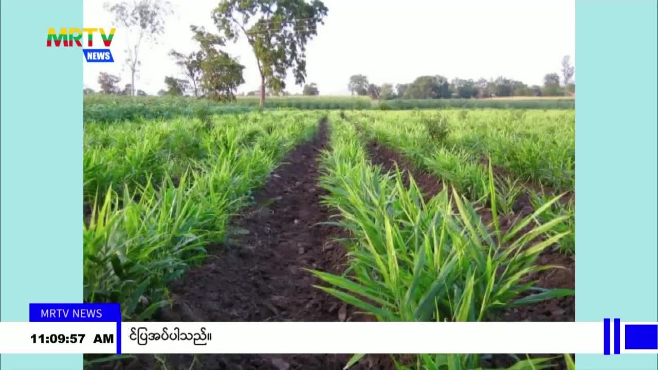 video_230924114104_v666b