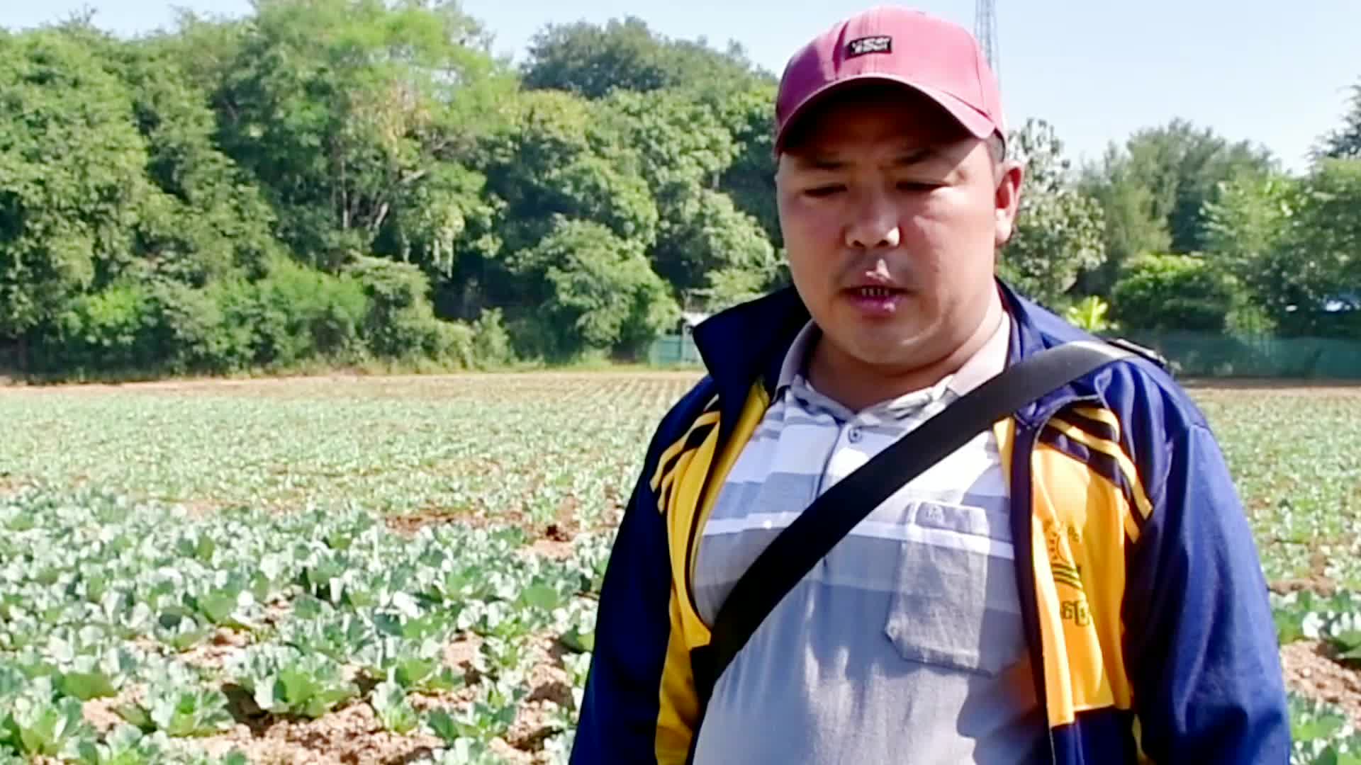 Project_12-12(4)_Full HD 1080p