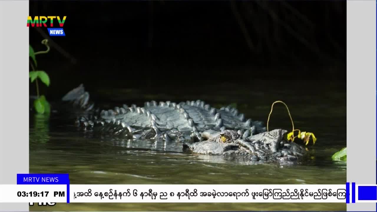 video_230812154553_v32ff