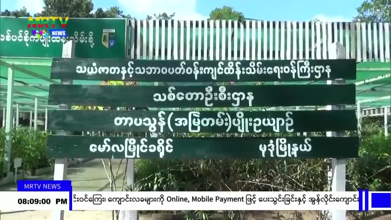 video_231114203456_vd86b