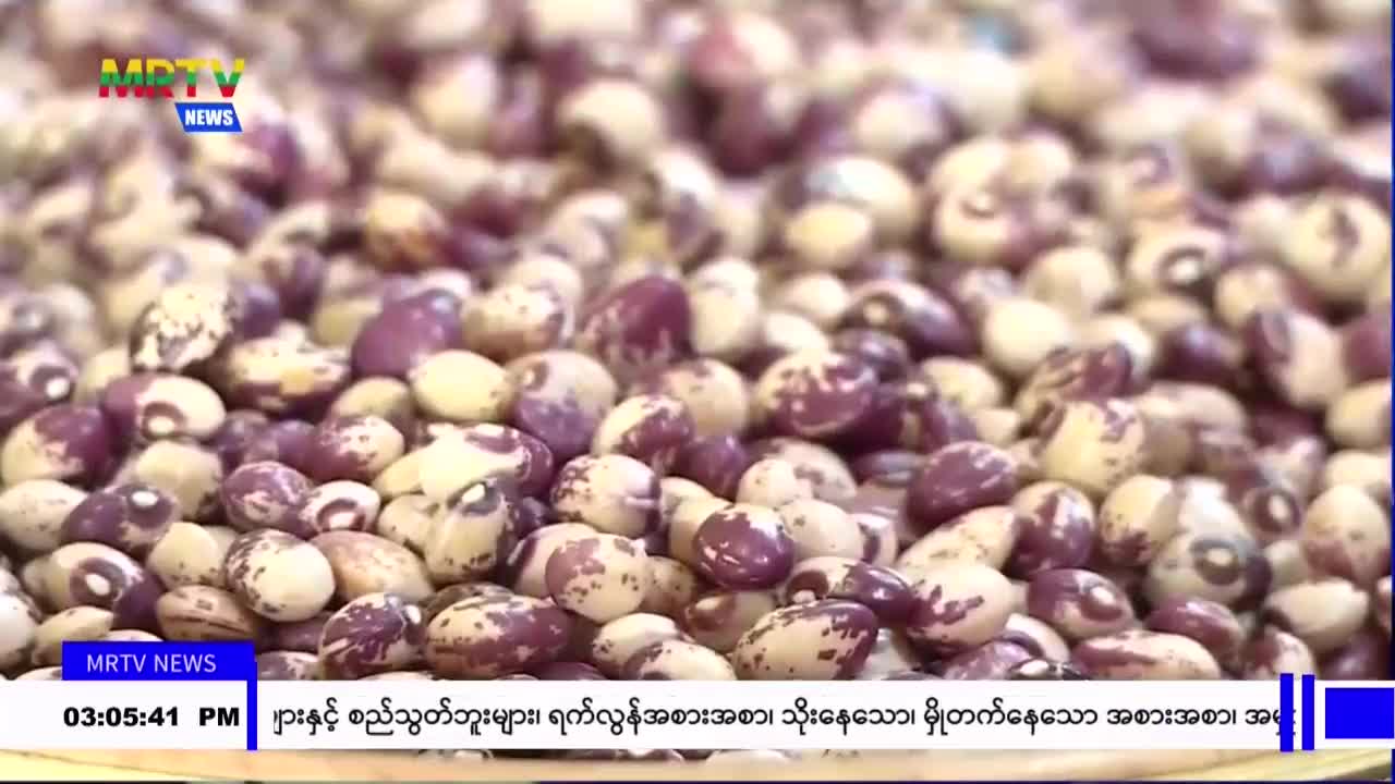 video_230716153132_v2b2a