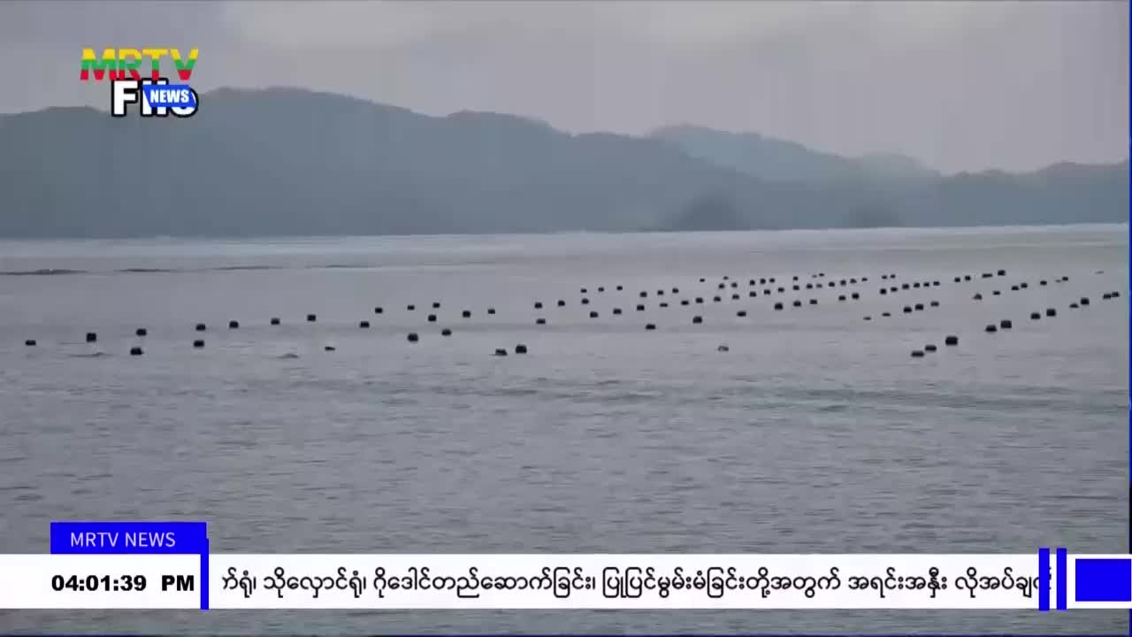 video_230716171553_vb7ee