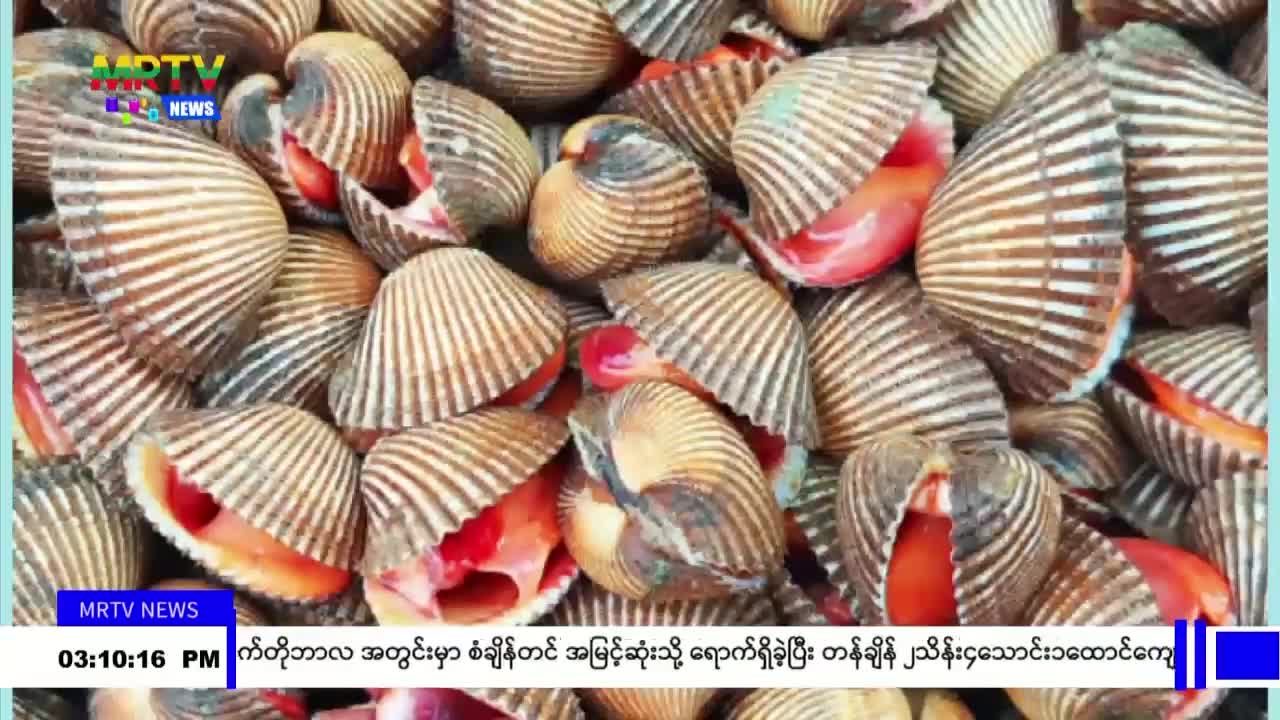 video_231119153707_v3725