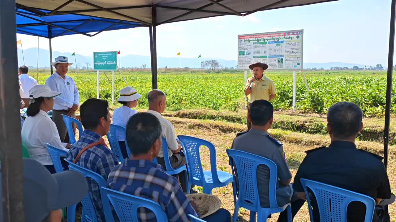 မိုးနဲမြို့နယ်တွင် မဲခေါင်-လန်ချန်းပူး‌ပေါင်းအစီအစဉ်ဖြင့် ပဲပုပ်...