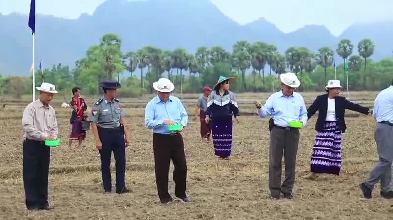 ကရင်ပြည်နယ်တွင်မိုးစပါး၄၂၈၆၉၈ဧကစိုက်ပျိုးရန်လျာထားမြေဆီလွှာဖွံ...