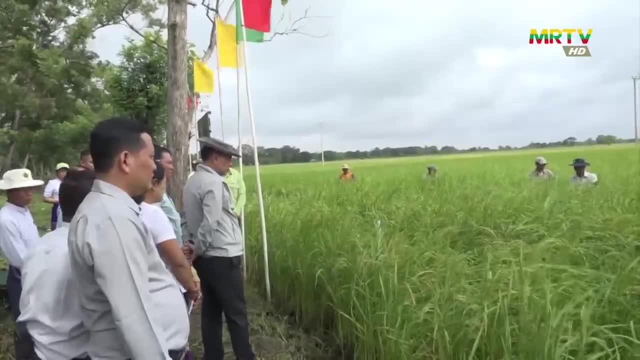 ပဲခူးတိုင်းဒေသကြီး