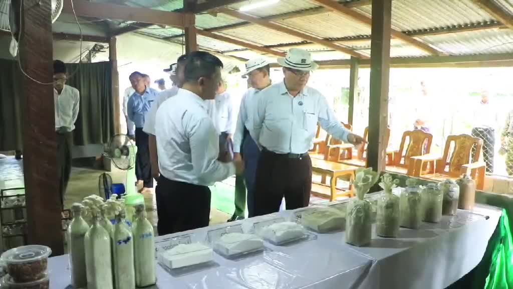 ကရင်ပြည်နယ်၀န်ကြီးချုပ်ဦးစောမြင့်ဦးနို့စားနွားမွေးမြူရေးခြံနှင...