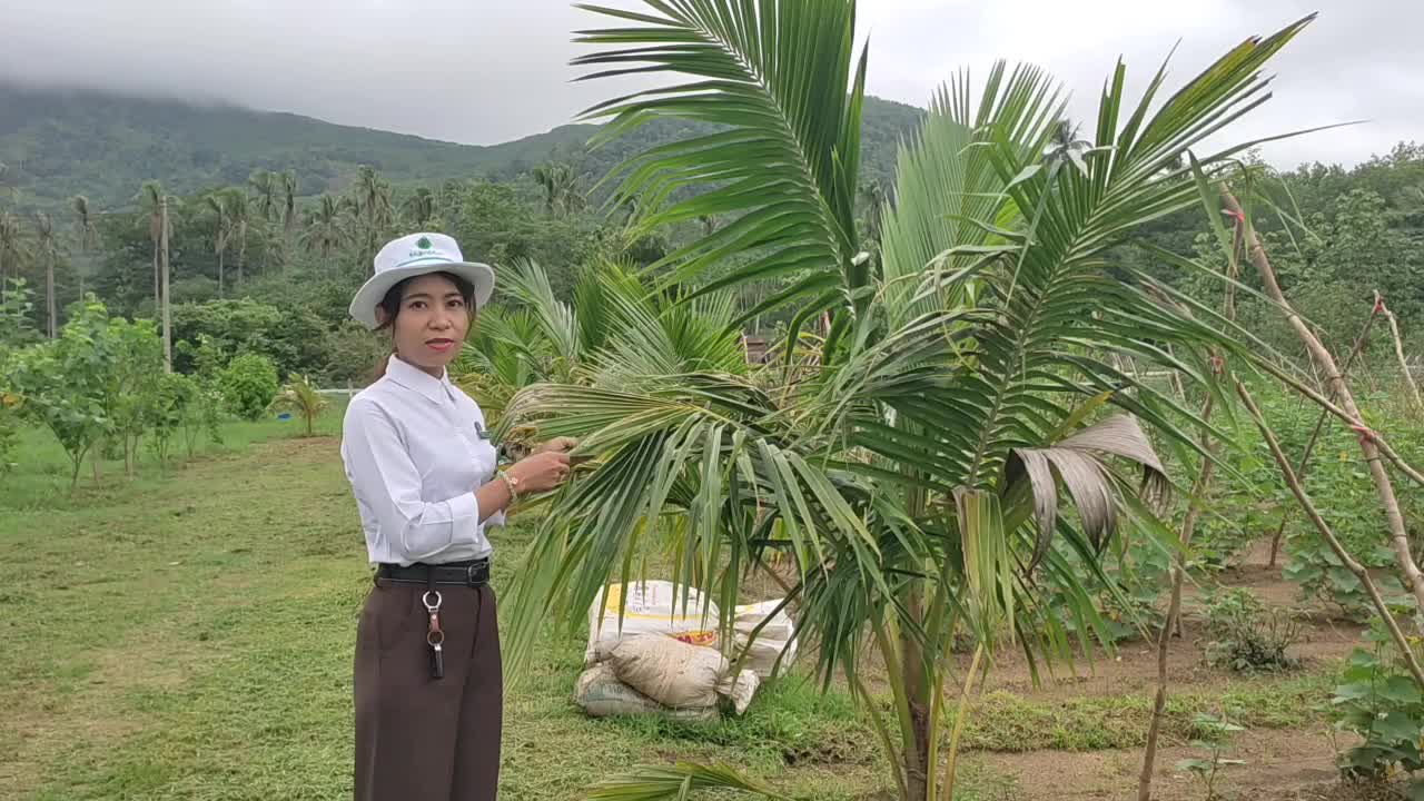ကော့သောင်းမြို့နယ် ဒေသတွင်း စားသုံးမှုဖူလုံနိုင်စေရေး (၁၀) မိုင်ဥယ...