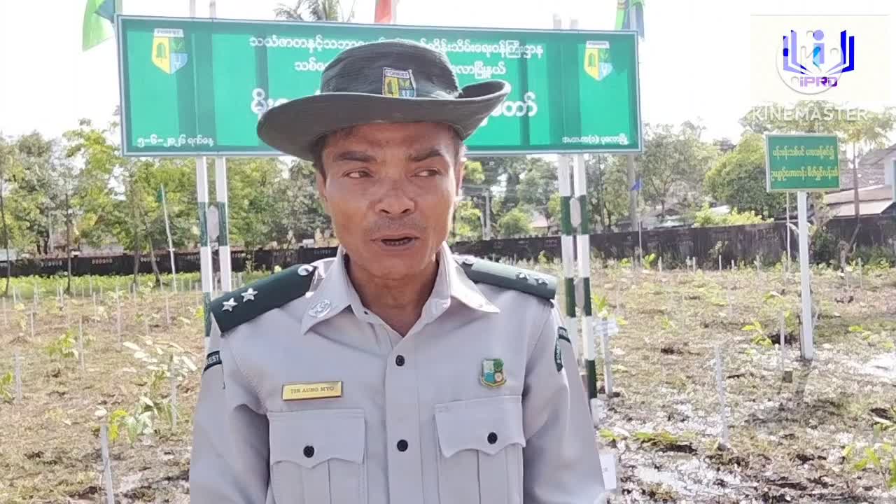ပုလောမြို့နယ်၌ ၂၀၂၆ ခုနှစ်၊ မိုးရာသီ စုပေါင်းသစ်ပင်စိုက်ပျိုးပွဲတ...