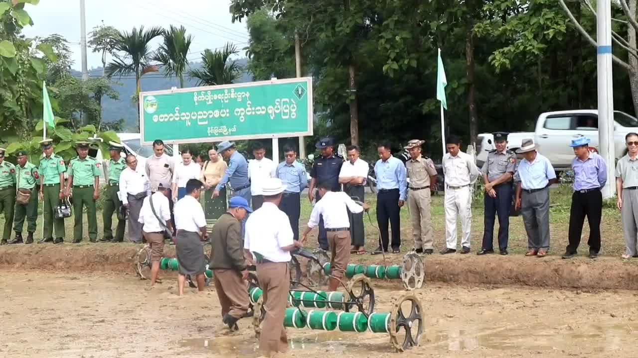မိုင်းဖြတ်မြို့နယ်၌ စပါးစိုက်ပျိုးနည်း ကွင်းလက်တွေ့သရုပ်ပြသ
