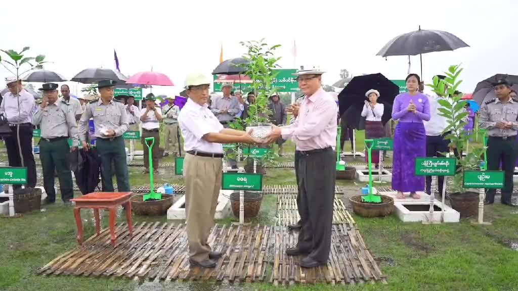 အမှတ်(၂)ဘိလပ်မြေစက်ရုံ တန်၄၀၀၀တွင် မိုးရာသီပထမအကြိမ်သစ်ပင်စိုက်