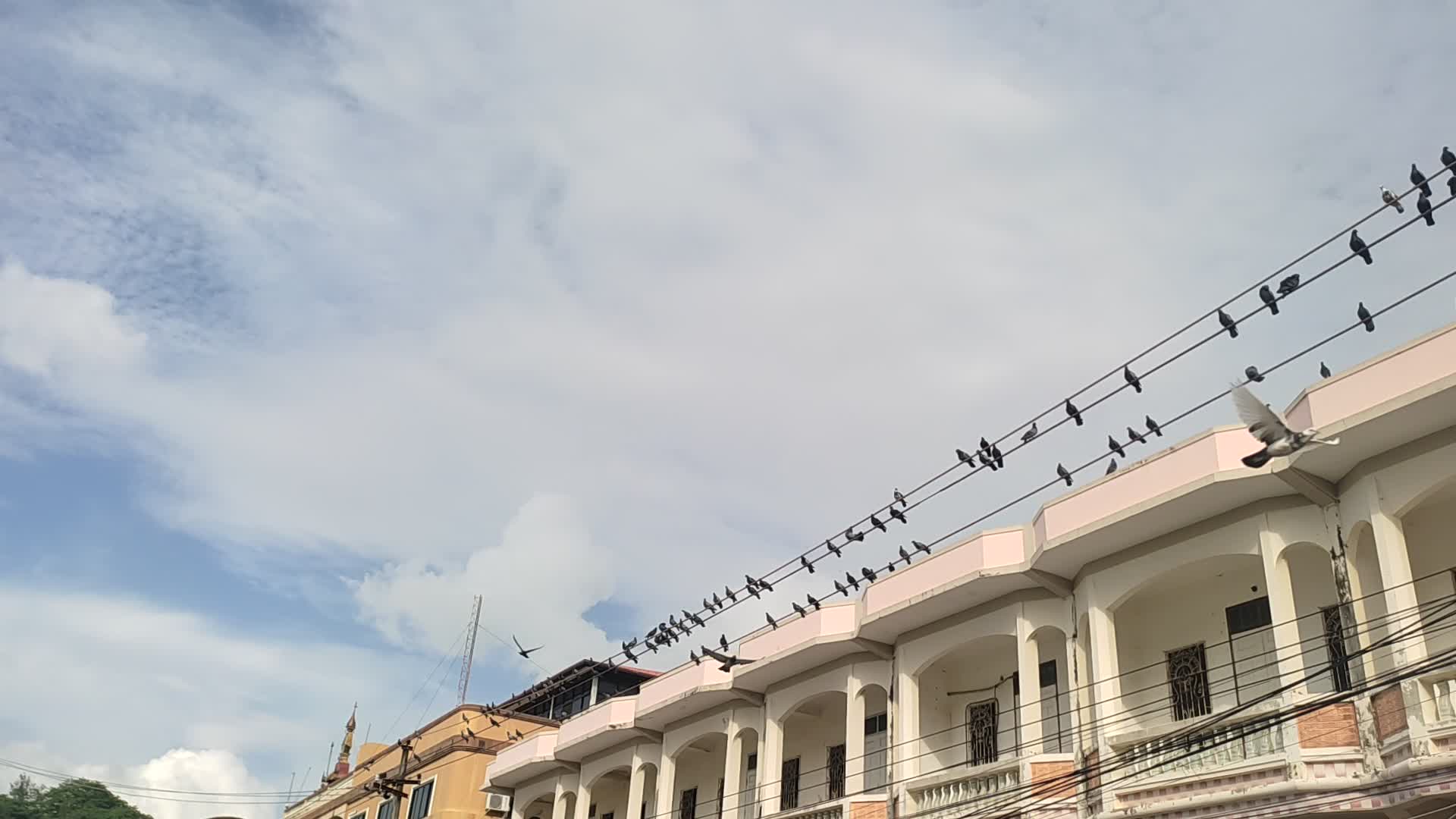 ကော့သောင်းမြို့၌ မိုးကြိုးဘေးနှင့်လျှပ်စီးလက်ခြင်းအန္တရာယ်အကြော...