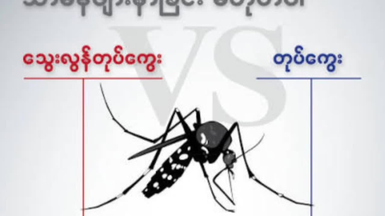 ဒဂုံမြို့သစ်(မြောက်ပိုင်း)မြို့နယ်တွင် သွေးလွန်တုတ်ကွေးရောဂါအကြေ...
