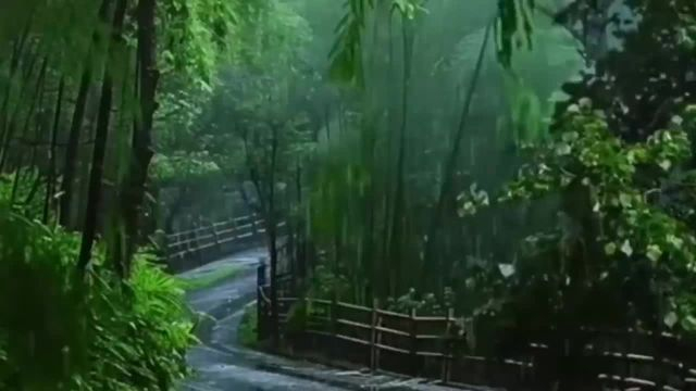 သင်္ဃန်းကျွန်းခရိုင်တွင် ရေကြီးရေလျှံသဘာဝဘေးအန္တရာယ် အသိပညာပေး Talk...