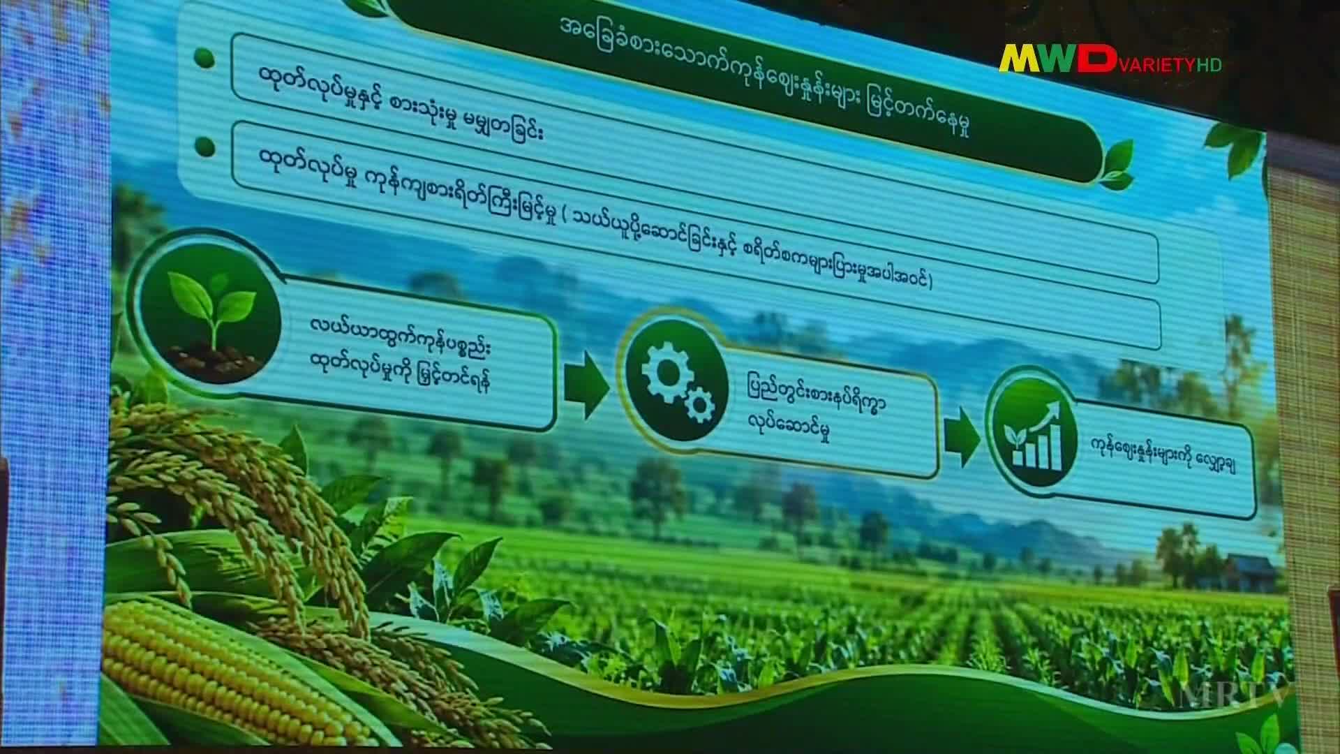 ၂၁-၉-၂၀၂၆ ရက်နေ့ ည(၈)နာရီမြဝတီရုပ်မြင်သံကြားပြည်တွင်းသတင်း