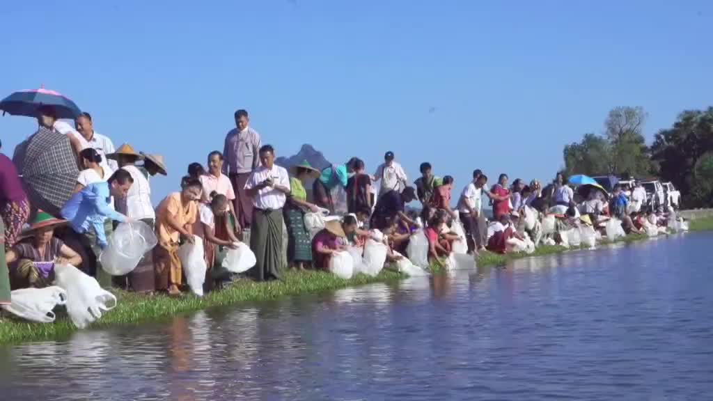 ဘားအံမြို့နယ်၊ ရသဝေါ်ကျေးရွာ ပါရမီအင်းအတွင်းငါးမျိုးစိုက်ထည့်